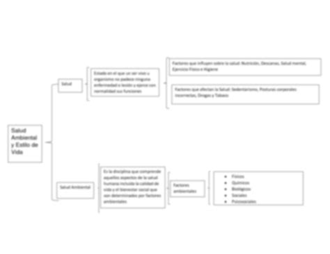 Solution Salud Ambiental Y Estilo De Vida Cuadro Sin Ptico Studypool