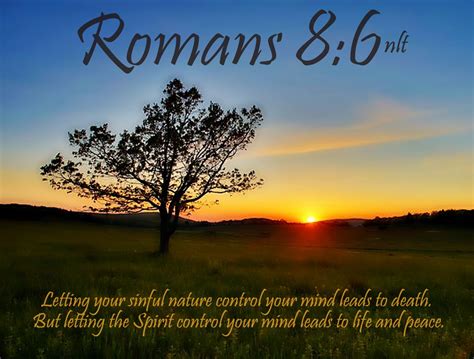 Romans 86 Nlt 12 10 13 Todays Bible Scripture Bob Smerecki Flickr