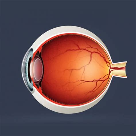 Retinal Diseases Archives - SRS Eye Hospital