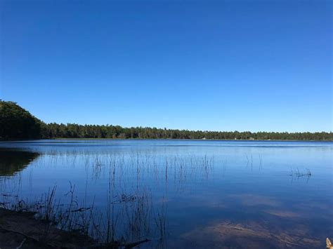 Bodi Lake State Forest Campground Michigan