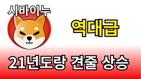 시바이누 코인 21년도 폭등이 다시 온다 역대급 폭등 2번째 기회 시바이누전망 도지코인 비트코인 이더리움