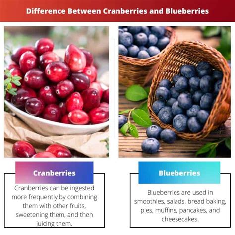 Cranberries Vs Blueberries Difference And Comparison