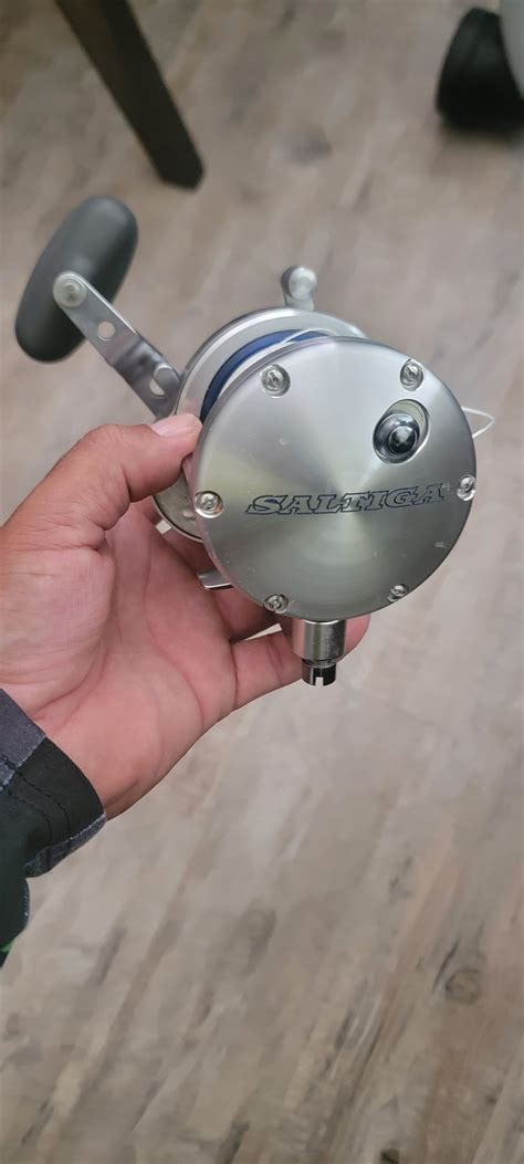 Gulf of Mexico - Daiwa saltiga 40 star drag | Bloodydecks