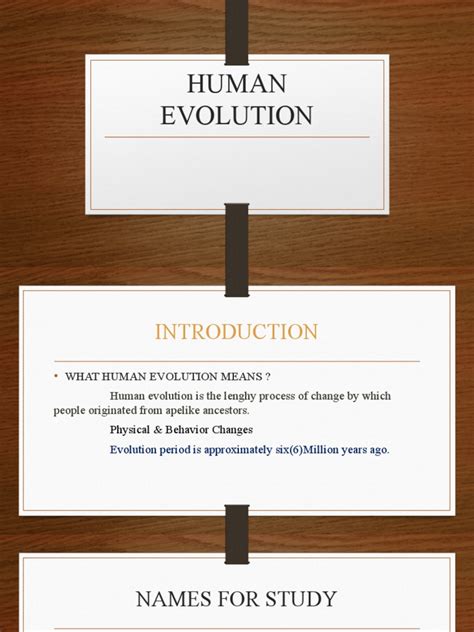 Human Evolution | PDF