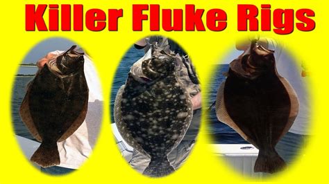 Fluke Fishing How To Tie Killer Fluke Rigs Summer Flounder Rigs Jumbo