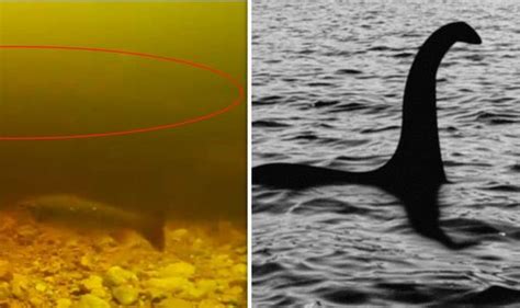 Loch Ness Monster Proof Video Shows ‘monster In Lake But Its Not