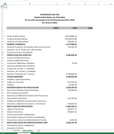 Estado De Resultado Por Funci N Y Naturaleza Soporte Contasiscorp