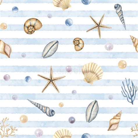 Seashell Seamless Border Hand Drawn Vector Illustration Of Pattern