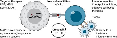 Mechanism Based Combination Therapies For Metastatic Cancer Science