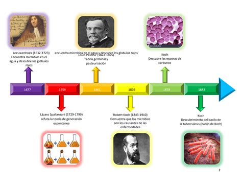 Solution L Nea Del Tiempo De Microbiolog A Studypool