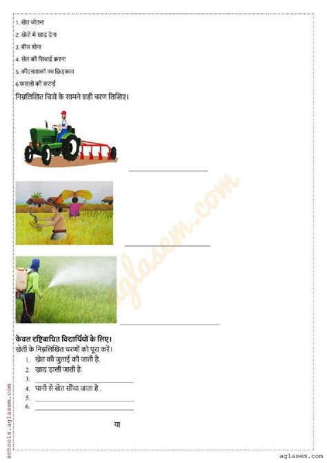 Class 5 Evs Sample Paper 2024 Pdf Annual Exam Model Question Practice Paper