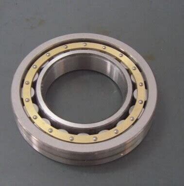 Nu Single Row Cylindrical Roller Bearing Mm Nu