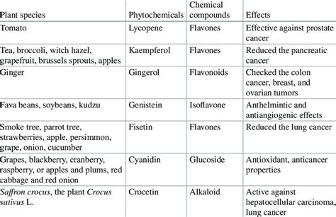 Summary Of Plants Anticancer Phytochemicals And Plant Source