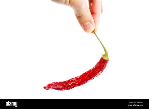 Red Hot Chilli Stock Photo Alamy