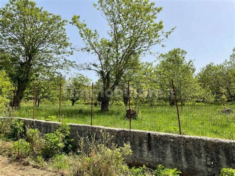 Terreno agricolo Località Salto SNC Bracigliano rif 104490949