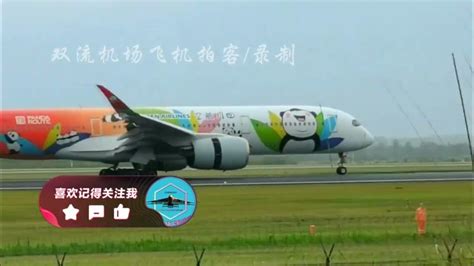 Lets Watch The Plane Together 雙流機場最近距離看飛機降落，全寬體，看得過癮飛機降落 追飛機的人 一起看