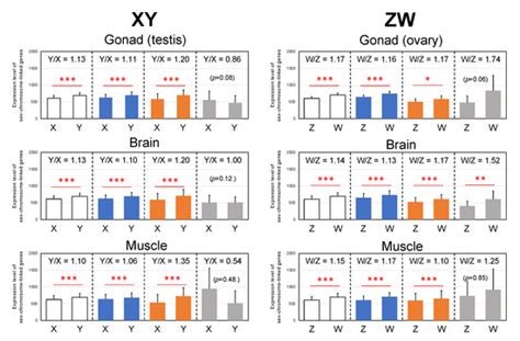 Genes Special Issue Chromosome Evolution And Karyotype Analysis