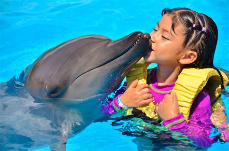 Swim with Dolphins for Non Swimmers and Kids | Dolphinaris