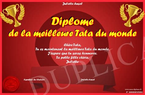 Diplome De La Meilleure Tata Du Monde