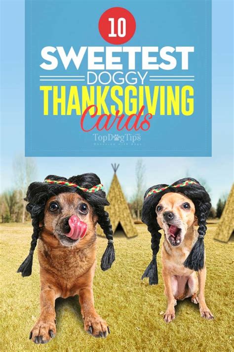 10 Of The Cutest Dog Thanksgiving Cards For True Dog Lovers Updated 2024