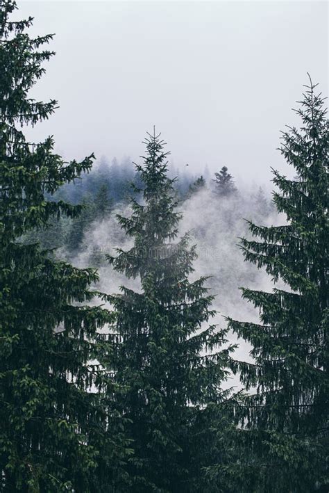 Nebelhafte Berglandschaft Stockfoto Bild Von Exemplar