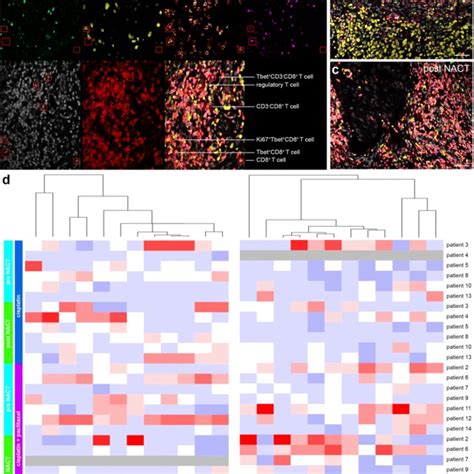 T Cell Subset Analysis Of Pre And Post Neoadjuvant Chemotherapy Treated