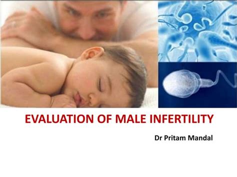 Evaluation Of Male Infertility Ppt