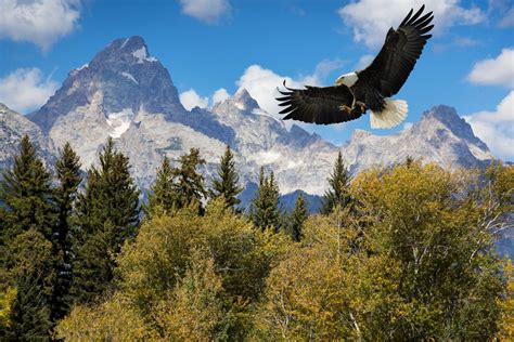 The Best Us National Parks With Gorgeous Photos