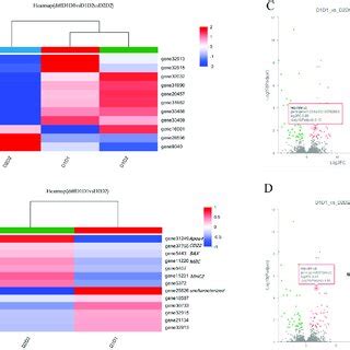 Cluster And Volcano Analysis Of Differential Expression Genes Degs