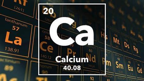 Calcium (Ca): Properties & Uses – StudiousGuy