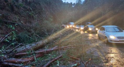 Temporal Causa Destelhamentos E Queda De Rvores Em Urubici Wh