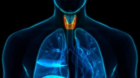 Advances In Research For Thyrotropin Dependent Thyroid Cancer Digital