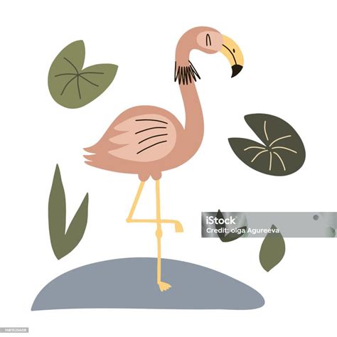 Cute Flamingo Surrounded By Tropical Plants Hand Drawn Vector