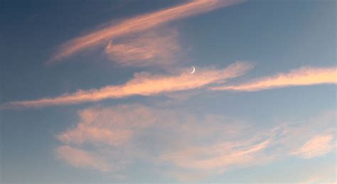 Neumond im Stier Dein Mond Guide für den 8 Mai happinez