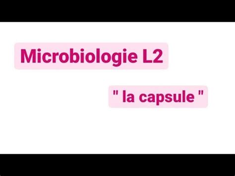 Microbiologie L La Capsule Youtube