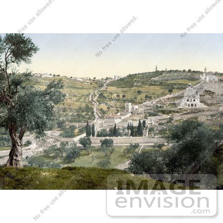 Picture of Mount Olivet and Garden of Gethsemane | #14401 by JVPD | Royalty-Free Stock Photochromes