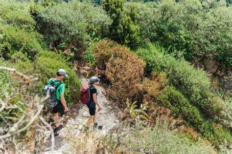 Z Po Udnia Teneryfy Wycieczka Dniowa Na Wysp La Gomera Z Lunchem