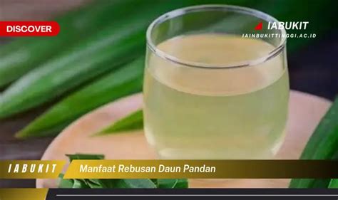 Kamu Wajib Tahu Inilah Manfaat Rebusan Daun Pandan Yang Jarang Diketahui