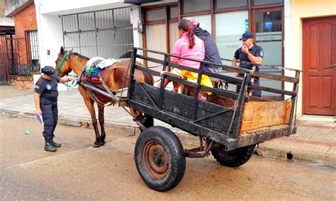 Avanzan Los Controles Para Erradicar La Tracci N A Sangre El Heraldo