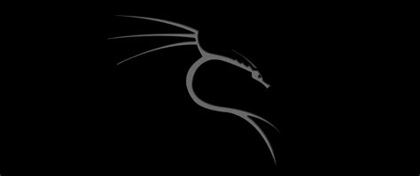 2560x1080 Kali Linux Dragon 4k Wallpaper,2560x1080 Resolution HD 4k Wallpapers,Images ...