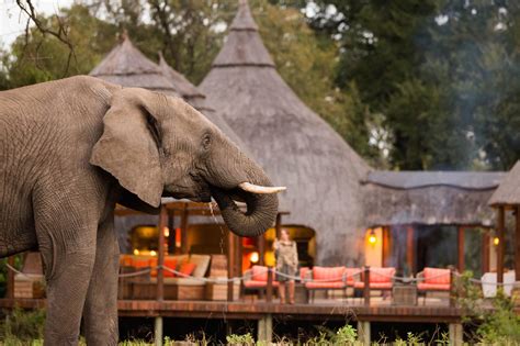 The Top 10 South African Safari Lodges | Discover Africa Safaris