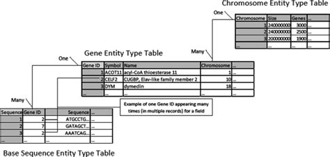 Relations between database tables. | Download Scientific Diagram