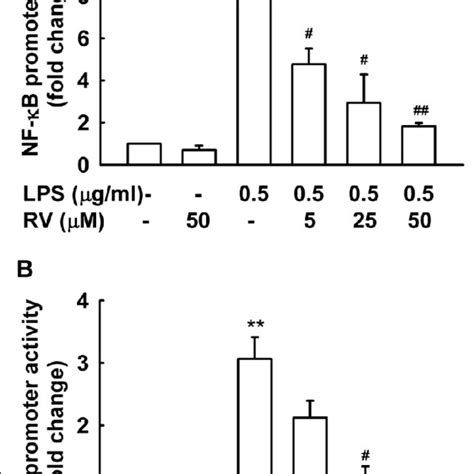 Resveratrol Inhibits Activation Of Nf B By Lps Murine Primary