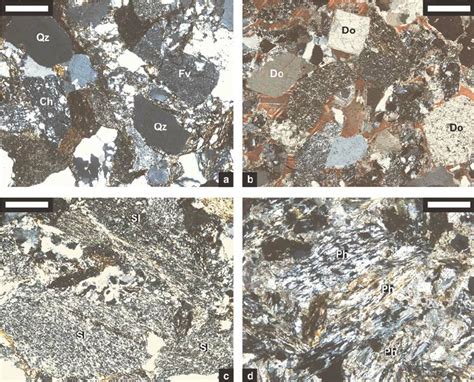 Lithic Fragments In The Shemshak Sandstones A Quartzolithic