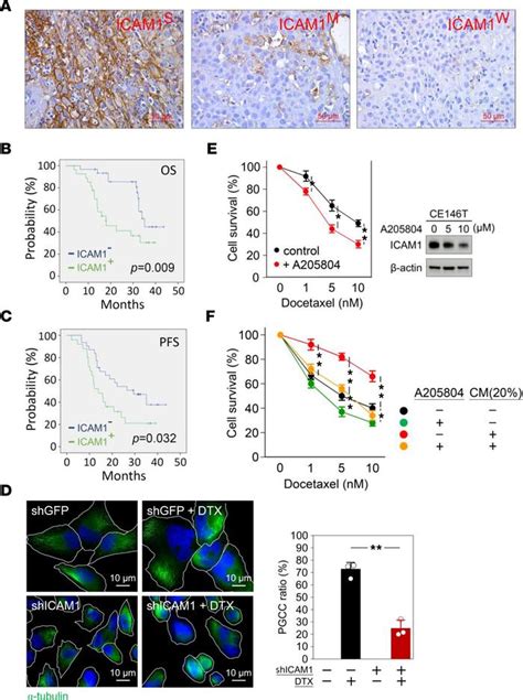 Jci Insight Macrophage Secretory Il Promotes Docetaxel Resistance