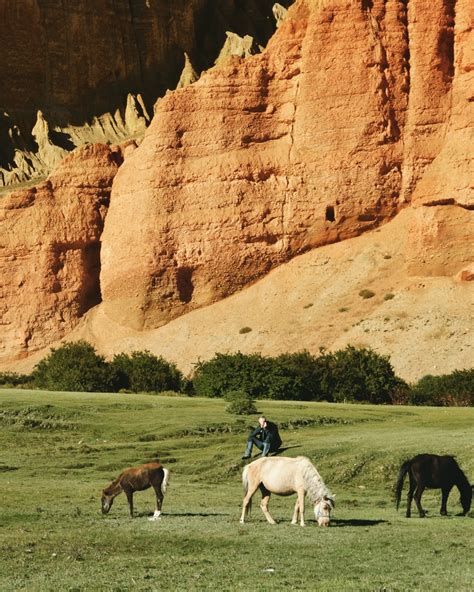 Awesome Holidays Nepal (@awesomeholidaysnepal) • Instagram photos and