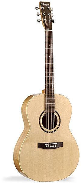 Norman Guitars B20 Folk Review | Chorder.com