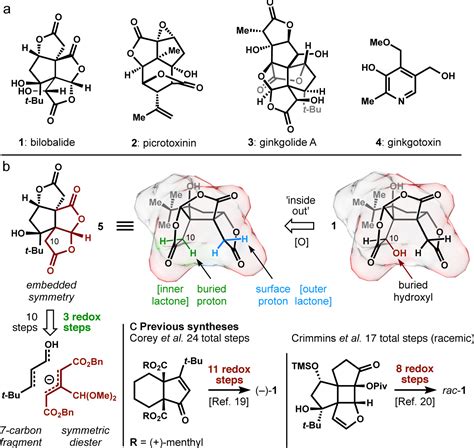 Concise Asymmetric Synthesis Of Bilobalide PMC