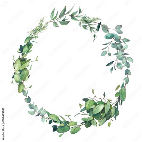 Watercolor Greenery Combination Eucalyptus Branches And Olive Tree