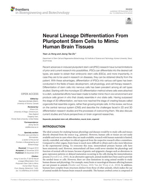 (PDF) Neural Lineage Differentiation From Pluripotent Stem Cells to ...